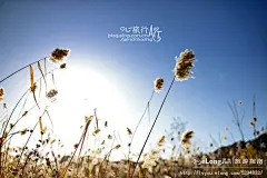 【吃在北京】京郊滋补暖心的羊肉火锅, the