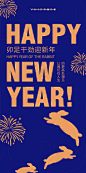 2023兔年 新年 元旦海报