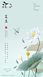 夏至节气海报-素材库-sucai1.cn