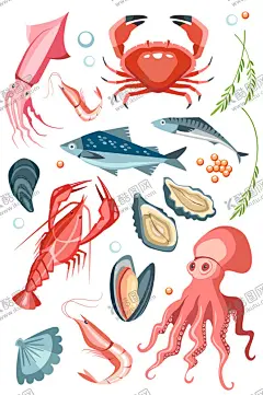海鲜水产食物 【酷图网】海马,矢量鱼,手绘鱼,虾,龙虾,海鲜生鲜,矢量海鲜插画,卡通鱼,卡通乌贼,海鲜盛宴,海鲜食物,食材,大闸蟹,海鱼,海虾,海蟹,鱿鱼,大龙虾,食品,美食,海洋生物,刺身,海鲜水产,青口,贝壳,小龙虾,墨鱼,章鱼,鱼,海鲜,鱼肉,三文鱼,冷冻鱼,水产,贝类,螃蟹,乌龟,八爪鱼,
