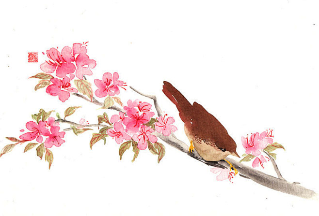 各种鸟=。= 作者: 阿昕 - 涂鸦王国
