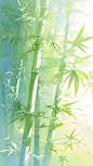 植物通用清新插画竹林背景场景图片素材