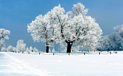 双面ι采集到雪：背景，壁纸，风景