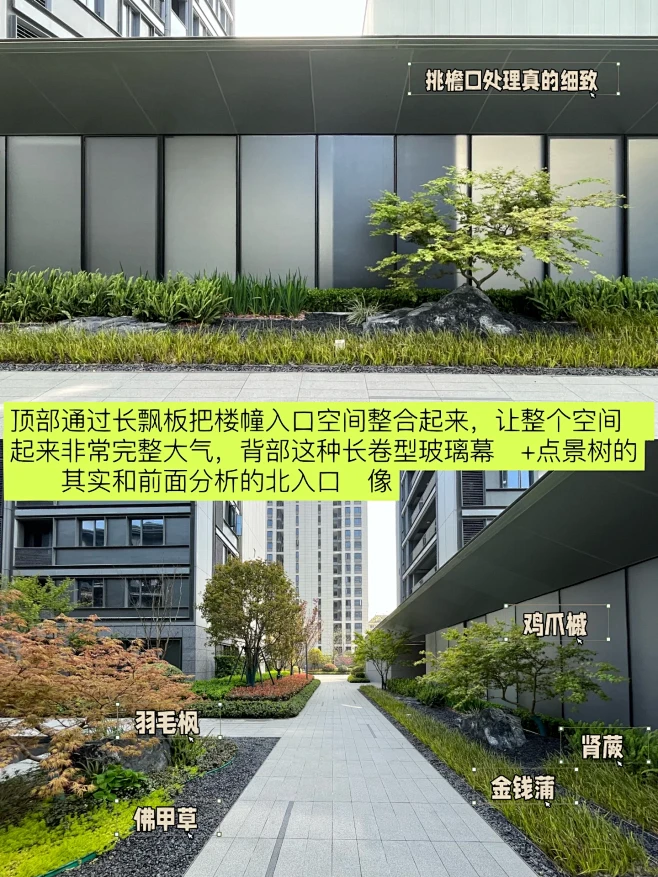 绿城的建筑立面真的还蛮治愈强迫症的❗️