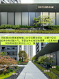 绿城的建筑立面真的还蛮治愈强迫症的❗️