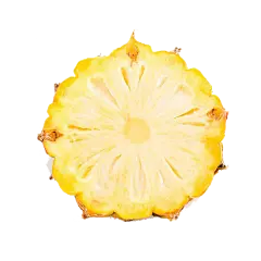 菠萝片素材