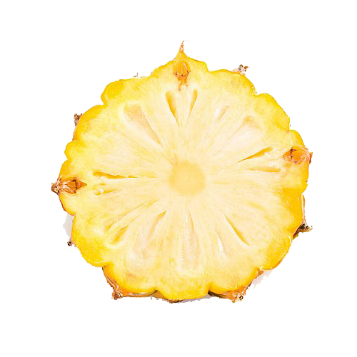 菠萝片素材