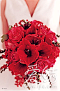 冬季里的一把火 红色捧花#手捧花##红色##婚礼#