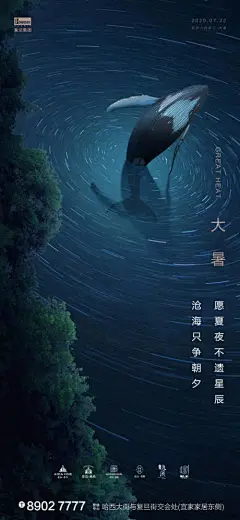 海报 二十四节气 大暑 星轨 星空 鲸鱼 