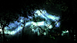 teamLab Botanical Garden Osaka | teamLab