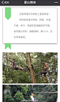 树上冒险乐园"飞越丛林"是集冒险、运动、娱乐、挑战于一体的户外运动项目。它是用各种各样的障碍环节将树连成一条线路，通过爬、滑、游、跨、跳、飞等动作越过所有障碍。（地址：安徽省霍山县上土市镇陡沙河村）