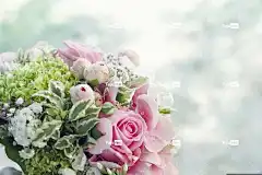 花束 一束鲜花 婚礼 玫瑰壁纸 花束 花束 花束 花束 花束