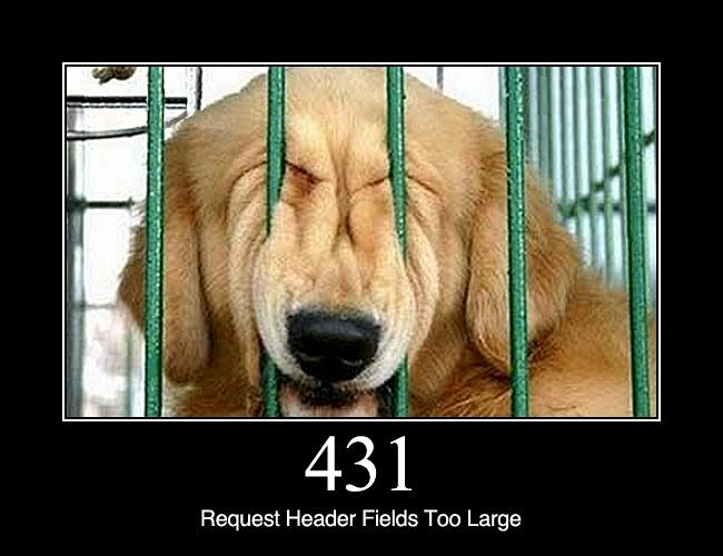 431 Request Header F...