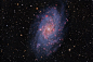 November 19, 2014

旋涡状的三角座星系（M33）在星空中闪耀着辉光。M33星系又名风车星系，距离地球约314万光年，直径约为银河系的三分之一。这张照片由美国密歇根州的一名天文爱好者在自家后院中拍摄。摄影师：Terry Hancock