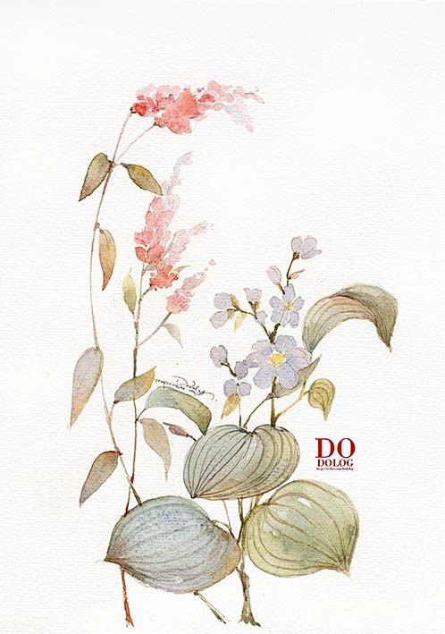 植物水彩——dodolog