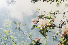 手机端、无线端首页、手机端首页、手机APP首页、淘宝手机端首页、天猫手机端首页、男装手机端首页、女装手机端首页、食品手机端首页、饰品手机端首页、童装手机端首页、母婴手机端首页、电器手机端首页、箱包手机端首页、鞋子手机端首页 无线钻石展位，首焦资源位，创意海报设计，手机端海报，无线钻展，淘宝APP，天猫APP，首焦海报，天猫京东电商活动轮播海报平面设计 男女装 家电数码 电器建材 母婴玩具 箱包女鞋 珠宝首饰 美妆 化妆护肤品 食品 茶 酒 电脑办公
家居背景、家居海报背景、海报背景、家居场景、家装背景、家