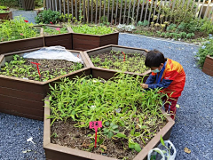 上海木西花园设计采集到花园分区---菜园