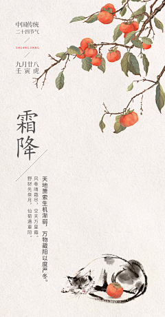 💖🌞sunyi采集到商业