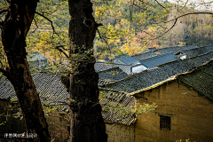 toby-way采集到中式住宅