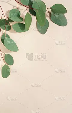 绿色的桉树叶子和阴影在粉红色的背景上。平躺，俯视图。海报