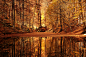 AUTUMN by Emre Koşak on 500px