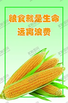 节约粮食 【酷图网】厉行节约,反对浪费,厉行勤俭节约,反对铺张浪费,光盘行动海报,光盘行动,节约,健康饮食,节约展板,节俭,珍惜粮食,勤俭节约,文明城市,节约海报
