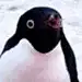 遥远の我