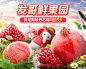 发哥鲜果园