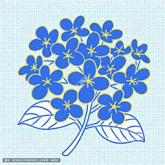 蓝色绣球花插画图案