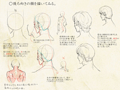 雅贤YY采集到【绘画-人体结构】眼睛、耳朵