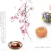 清新日本日式料理中华传统美食杂志画册美食海报设计网页排版宣传餐饮甜点料理PSD模板素材