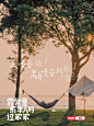 小红书露营季