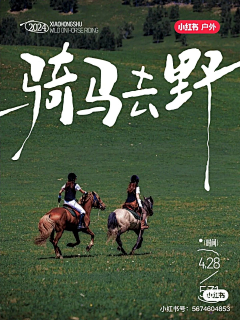 丶张三轰采集到文字类海报