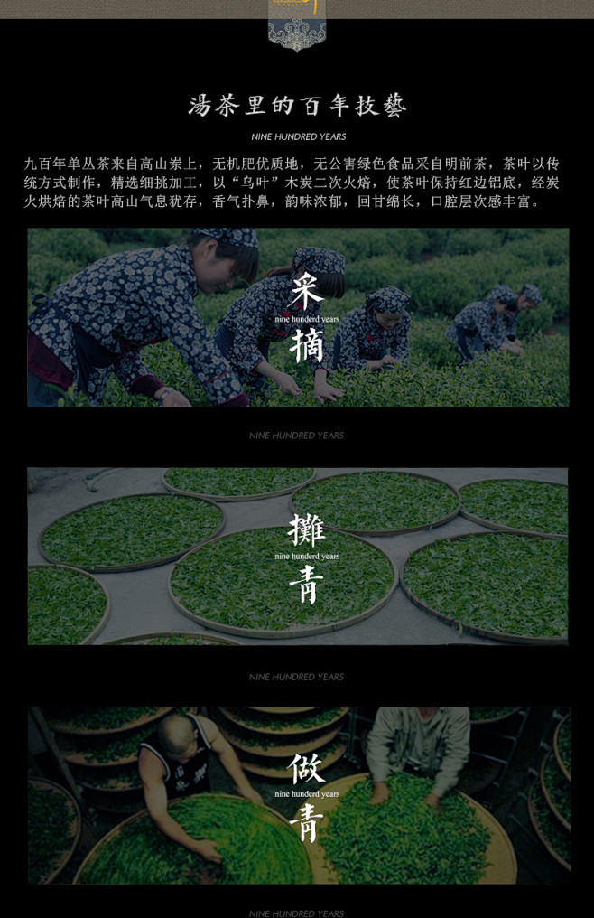九百年C3凤凰单丛茶铁罐装乌岽茶单枞特级...