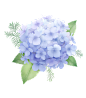 @冒险家的旅程か★
鲜花png 花朵png 叶子png 植物鲜花 花卉