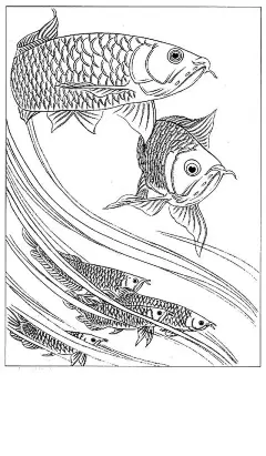 工笔鱼白描图-国画-热点资讯-野望文存-文艺