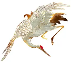 仙鹤国风插画  - 源文件下载【酷图网】插画,手绘,png,免扣素材,元素,