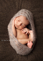 Newborn Pose | Newborn | Pinterest