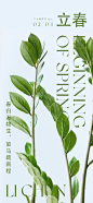 立春海报-志设网-zs9.com