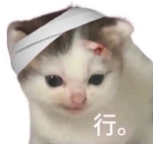 memes 猫 表情包-花瓣网