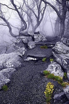 兔爷——TY采集到素材-场景