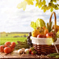 莓蔬发酵饮料 – Fermented Berry Vegetable Drink – 真珠美学pearlosophy官方网站 – 轻奢美妆护肤品牌