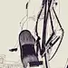 费尔feir