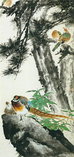 a王雪涛