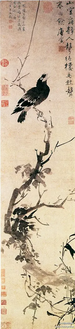 明 唐寅《春雨鸣禽图》--- 画中以大笔没骨涂染，塑造了一只栖息枝头、昂首鸣春的鹤鹆的优美形象，神态活灵活现，呼之欲出。树身以飞白写出，盘藤则用水墨阔笔。整体画面错落有致，神韵飞扬，是唐伯虎的一件代表作品。