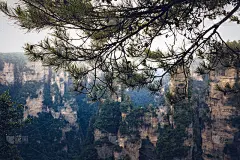 天柱(哈利路亚山)，张家界国家森林公园，武陵源，中国湖南