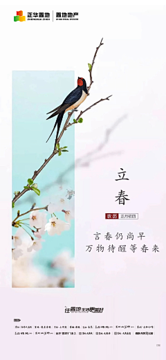 日落坐街头采集到立春