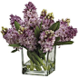 Hyacinth Arrangement, Dusty Plum