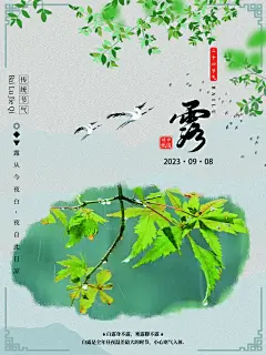 创意白露节气海报