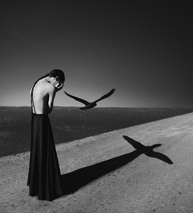 Noell S. Oszvald